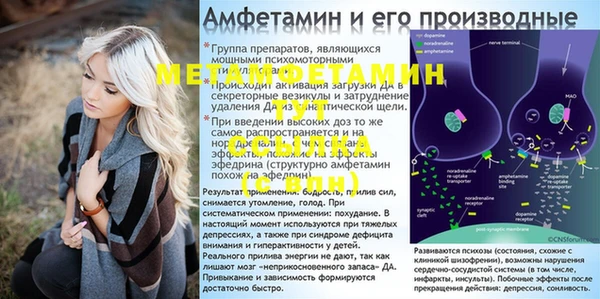 прущие грибы Балабаново
