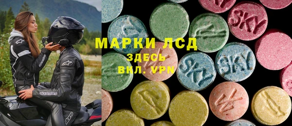 прущие грибы Балабаново