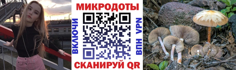mega   Миньяр  Псилоцибиновые грибы Magic Shrooms  купить наркоту 